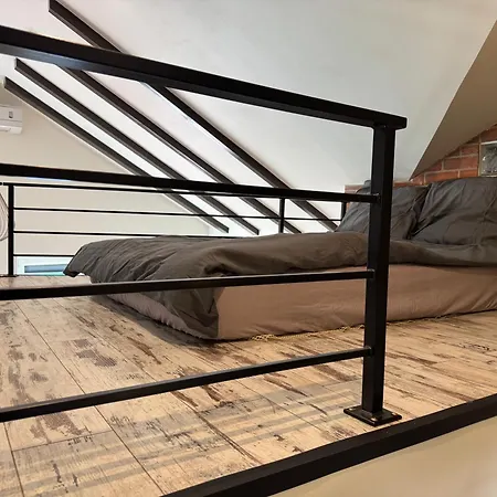 Carpatia Loft 公寓 *