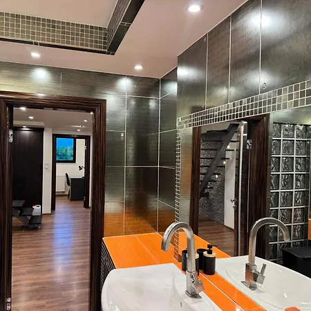 Carpatia Loft 公寓 Tarnów