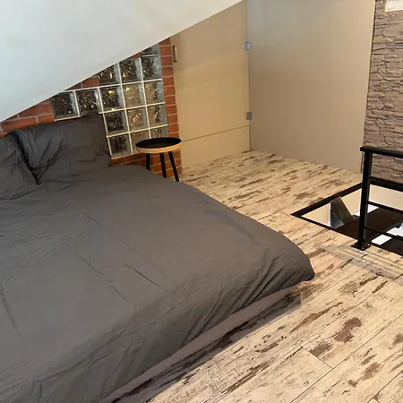 公寓 Carpatia Loft Tarnów