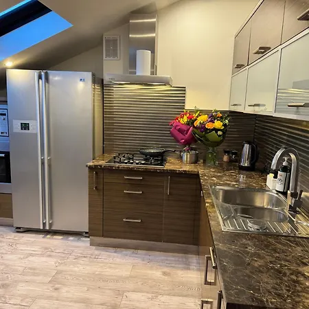 Carpatia Loft *