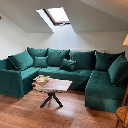 Carpatia Loft 公寓