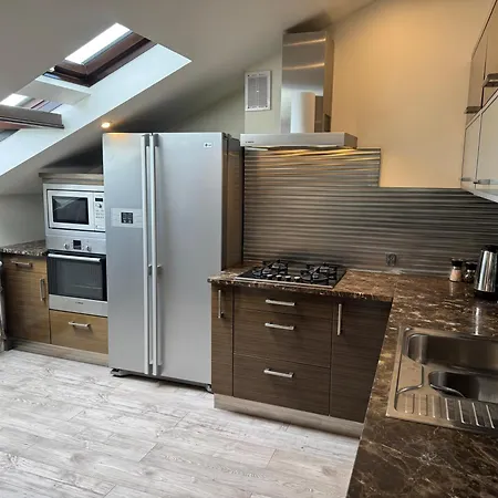 Carpatia Loft *