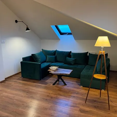 Carpatia Loft 公寓 Tarnów