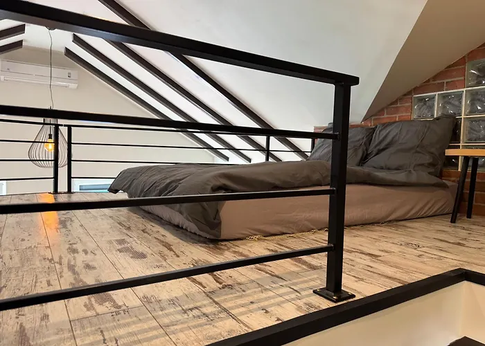 Carpatia Loft Apartamento *