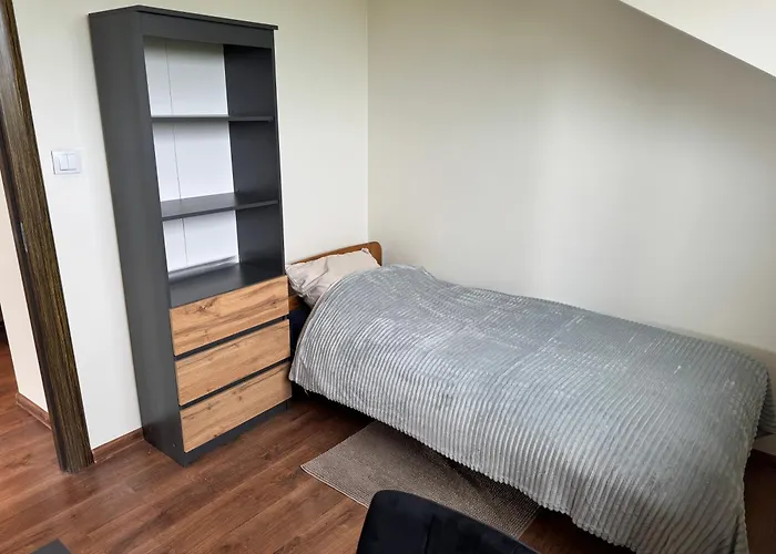 Carpatia Loft Apartamento